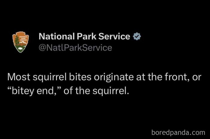 A National Park Service tweet with an oddly specific post about squirrel bites originating from the bitey end.
