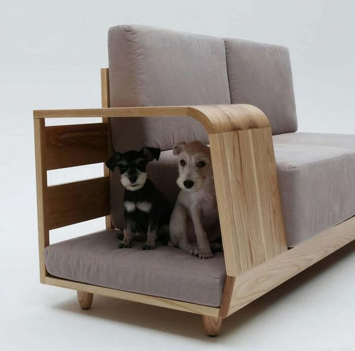 Two cute puppies enjoying the brilliant design choices of a pet-friendly sofa with a built-in dog bed.