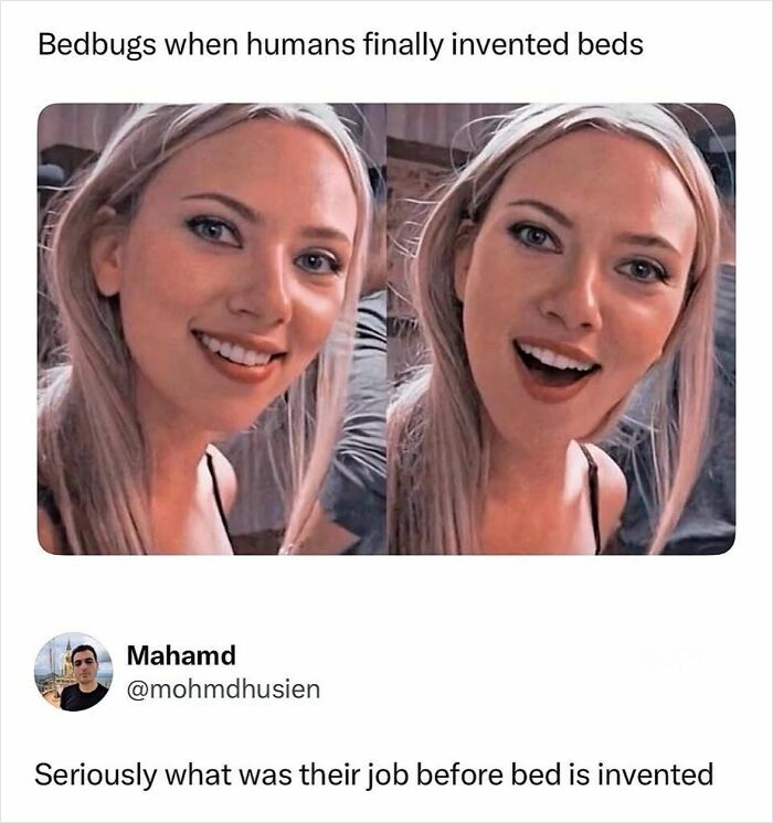 A relatable meme featuring Scarlett Johansson's reaction, perfect for boosting morale and bringing laughter.