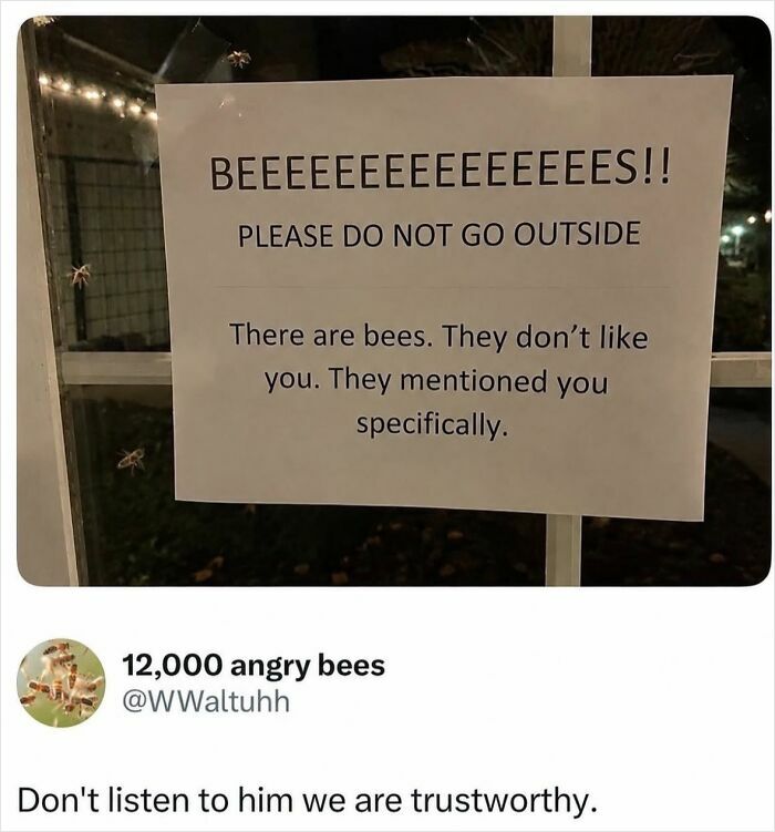 A sign warning about bees, with a tweet from '12,000 angry bees' disputing the warning. A relatable meme.
