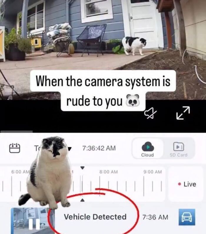 A funny meme where a security camera mistakes a cat for a vehicle, boosting morale with relatable humor.
