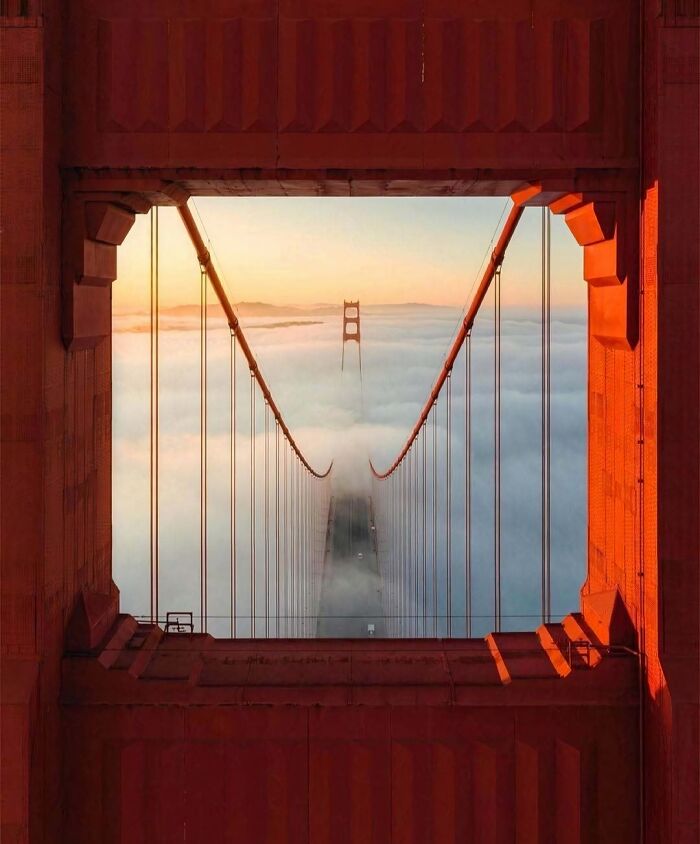 A stunning view of the Golden Gate Bridge shrouded in fog, showcasing brilliant design choices in engineering and architecture.