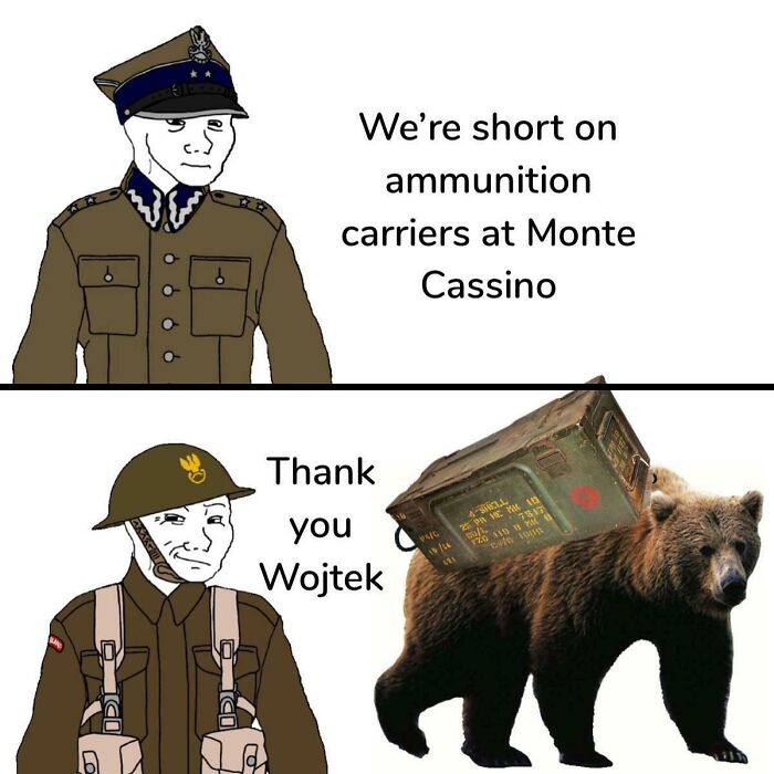 A history meme with a soldier thanking Wojtek, a bear, for carrying ammunition at Monte Cassino.