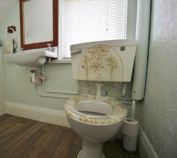 A toilet with a hilariously awful design, featuring a transparent seat filled with small, unsettling objects.
