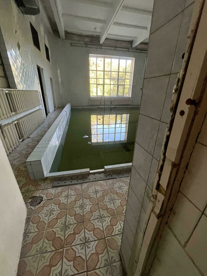 An abandoned indoor pool filled with murky green water, a startling find for urban explorers.