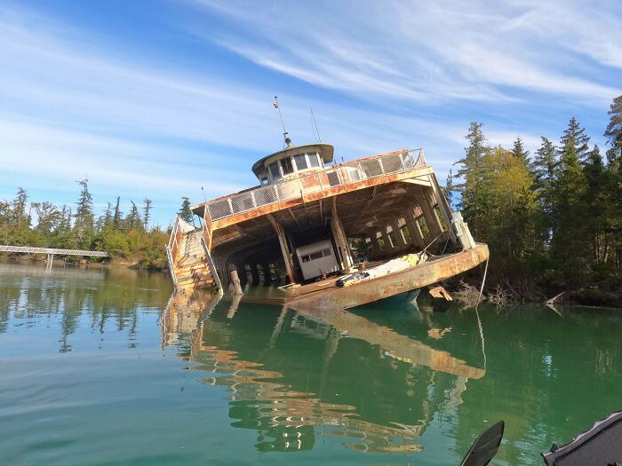 Urban explorers found a rusted, half-submerged ship in a lush green waterway, an unexpected discovery.