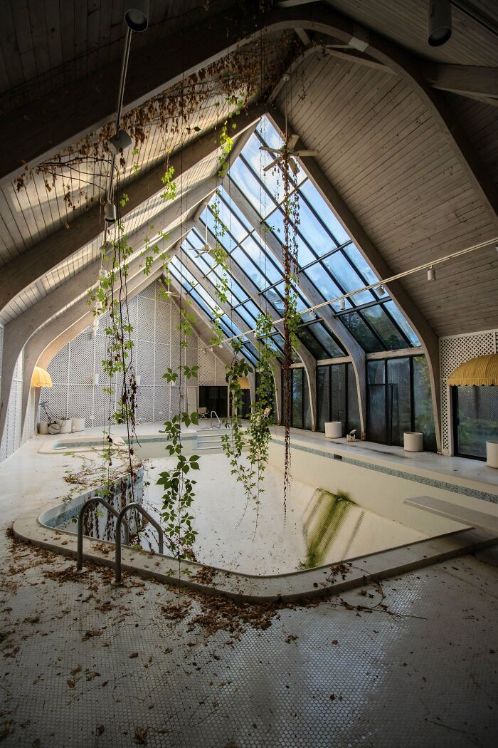 Urban explorers discovered an abandoned indoor swimming pool with vines growing from the ceiling and a large skylight.