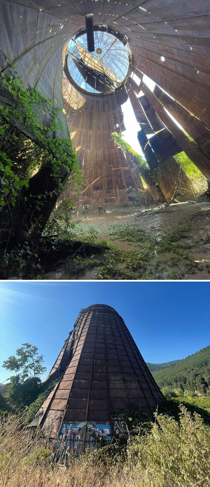 Urban explorers found a large, abandoned industrial structure with an open roof and overgrown plants.
