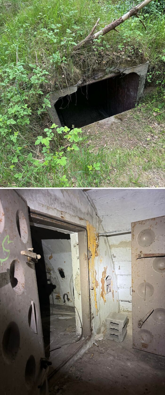 Urban explorers found an unexpected, overgrown bunker entrance in a forest, leading to a dark, abandoned interior.