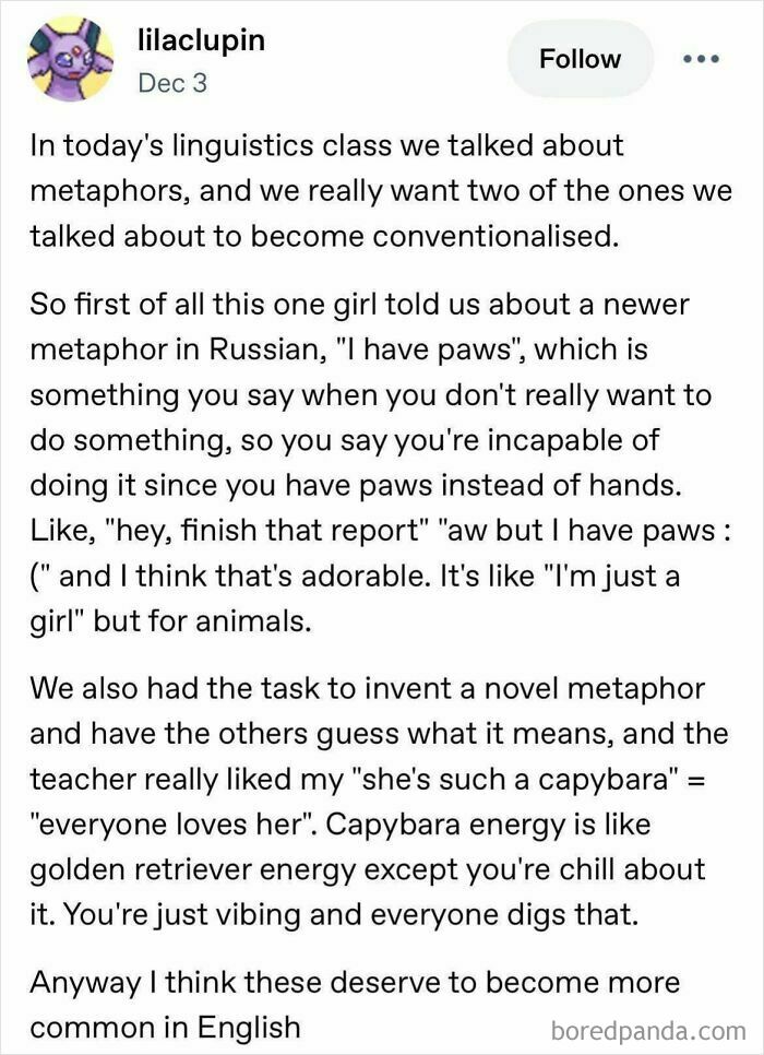 A Tumblr post about new metaphors, including 'I have paws' and 'she's such a capybara,' showcasing internet chaos.