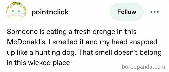 A Tumblr post about internet chaos from a user smelling a fresh orange in a McDonalds.