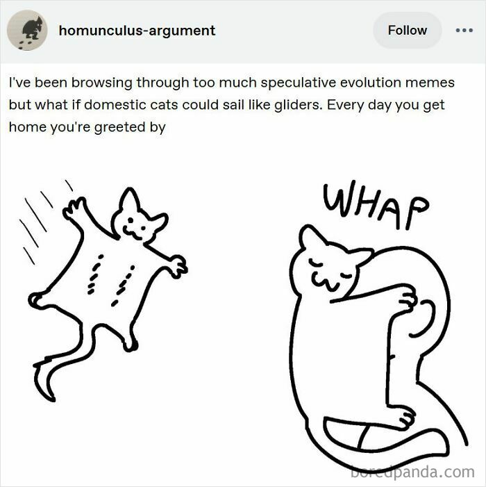 A Tumblr post with illustrations of cats sailing like gliders, delivering internet chaos.