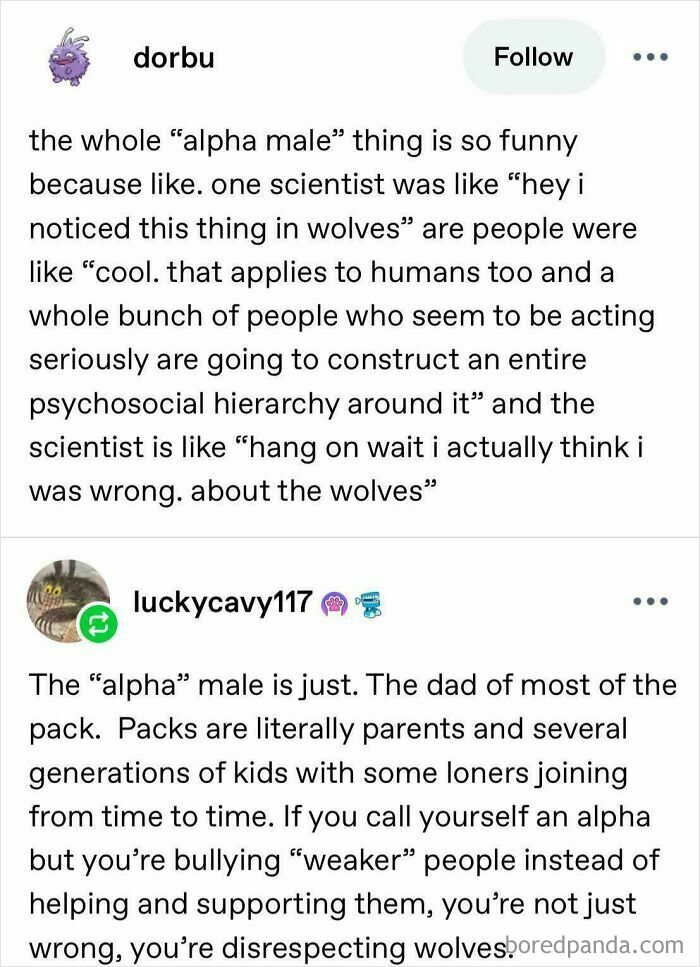 A Tumblr post explaining the true nature of alpha males in wolves, debunking human dominance, adding to internet chaos.