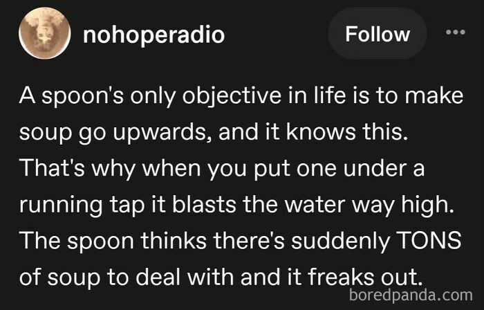 A Tumblr post about internet chaos, humorously explaining why a spoon under a tap blasts water, attributing it to soup.