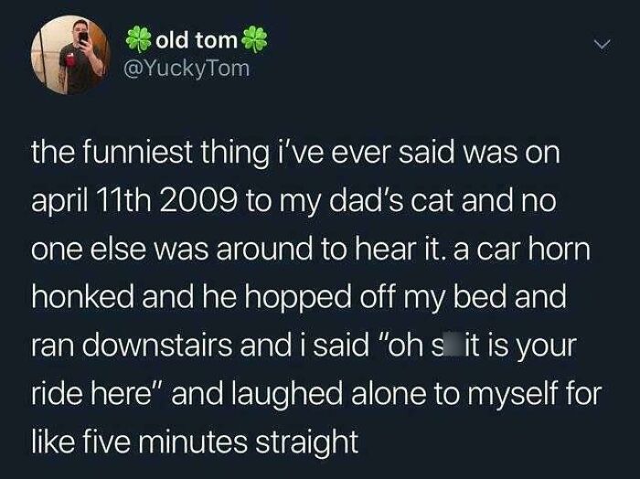 Funny and confusing tweet about a specific conversation with a cat and a car horn.