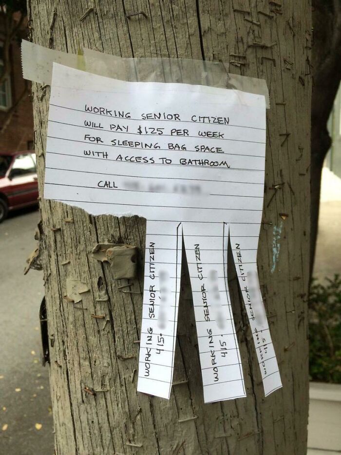 Wildly different photo of a hand-written note on a pole, advertising for a senior citizen, showcasing a USA scene.
