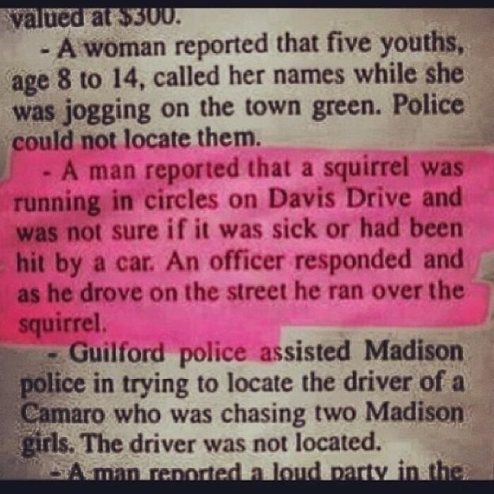 Highlighted news clipping describing a squirrel incident on Davis Drive, showcasing varied USA news.
