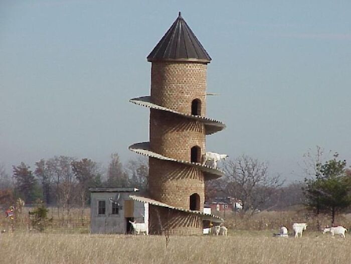 A unique spiraling tower with goats, illustrating the wildly different photos of the USA.