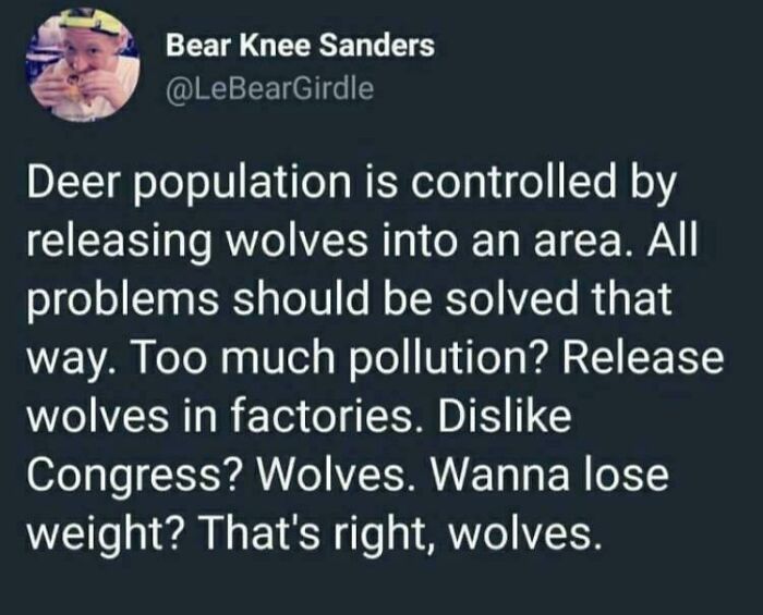 A funny and confusing example of people being way too specific about using wolves to solve all problems.
