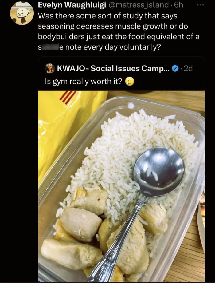 A funny and confusing example of plain chicken and rice, questioning if seasoning hinders muscle growth.