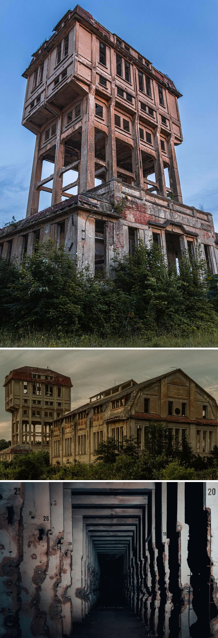 Three views of abandoned, decaying buildings overtaken by nature, showcasing unexpected finds for urban explorers.