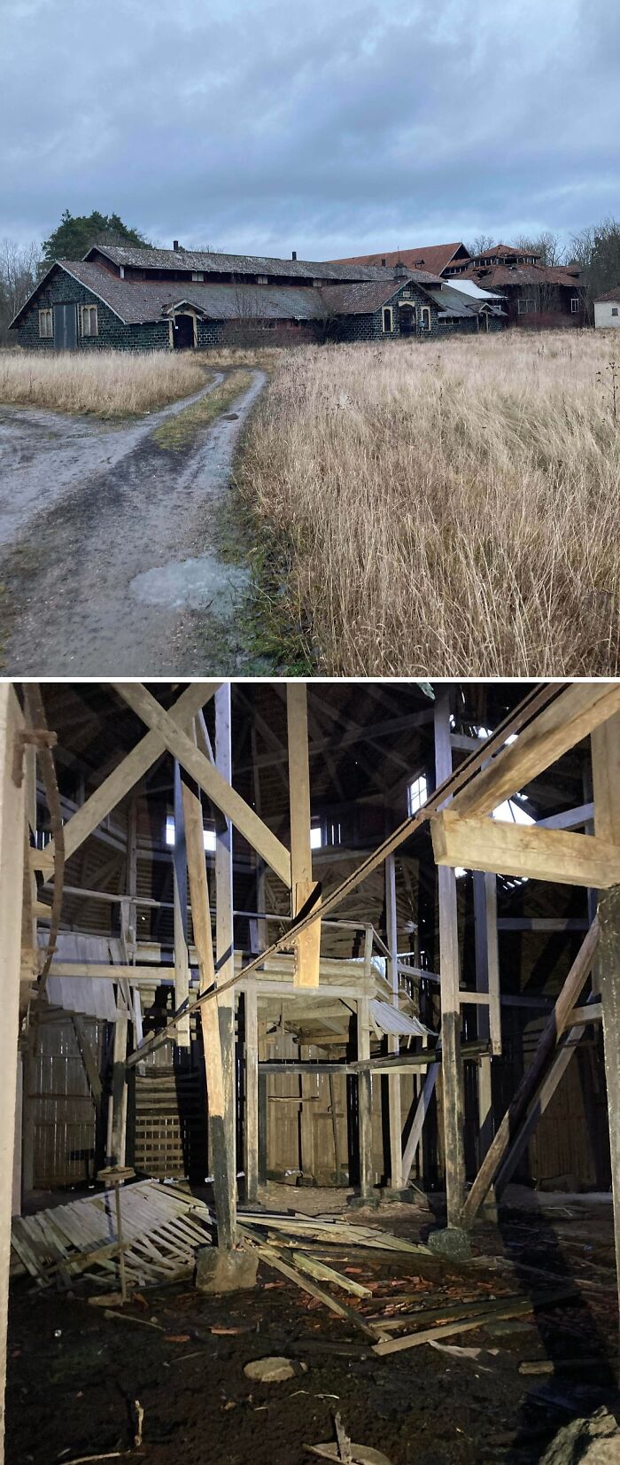 Urban explorers explored an abandoned building surrounded by tall grass.