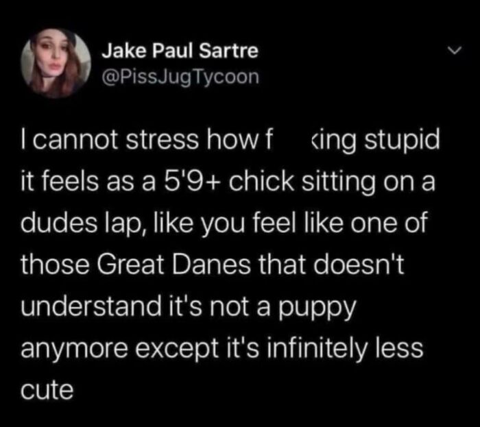 A funny and confusing tweet comparing a tall woman on a lap to a Great Dane, an example of being way too specific.