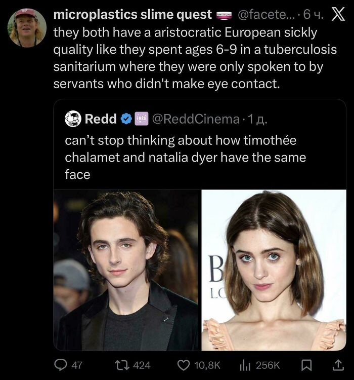 A funny and confusing tweet comparing Timothée Chalamet and Natalia Dyer faces, an example of being way too specific.