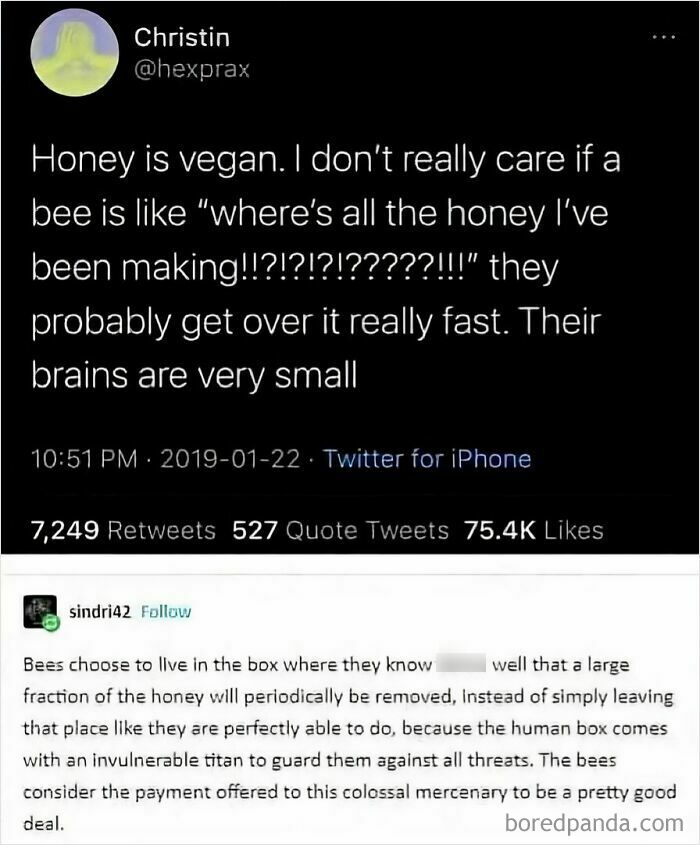 A Tumblr post about internet chaos regarding honey being vegan and bees not caring, with a humorous follow-up.