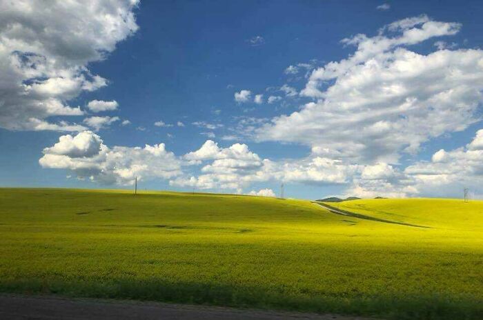 A wide shot of vast green fields under a blue sky with clouds in the USA, a fascinating photo.