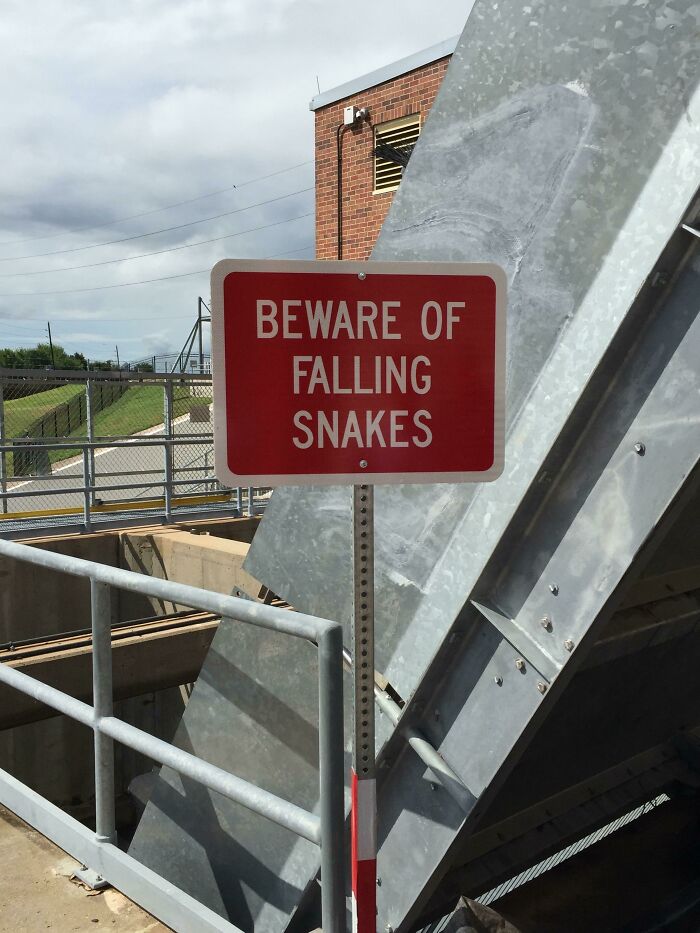 A red sign warning: BEWARE OF FALLING SNAKES, showcasing one of the wildly different photos of the USA.