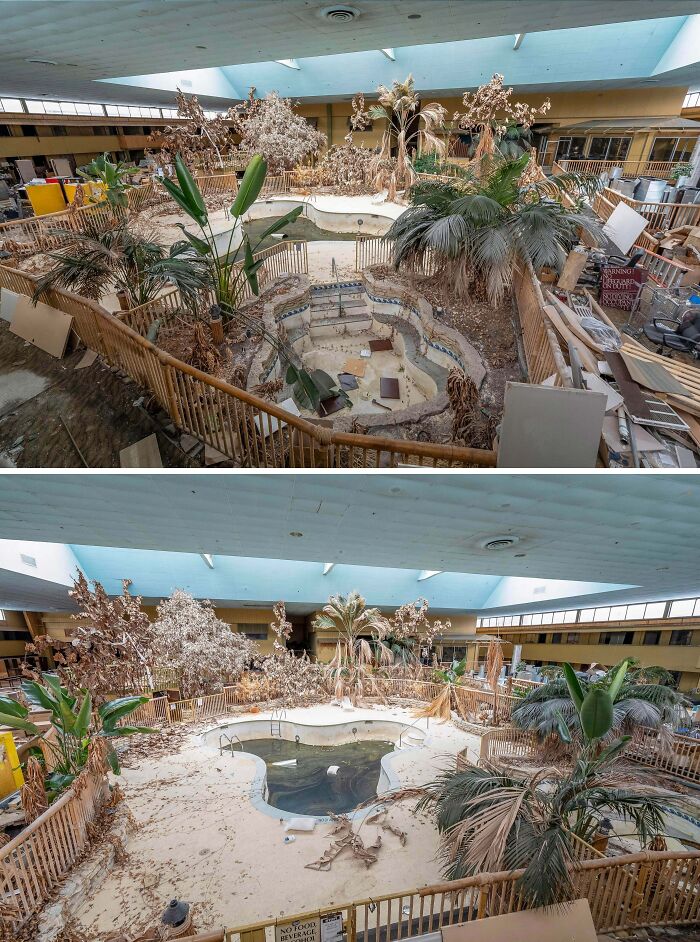 Urban explorers stumbled upon a decaying indoor pool area with d**d palm trees and debris.