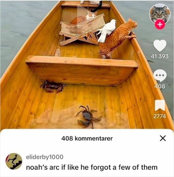 A funny meme showing several cats, a pigeon, and crabs in a boat, with a comment likening it to Noah's Ark.