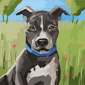 susanabner avatar