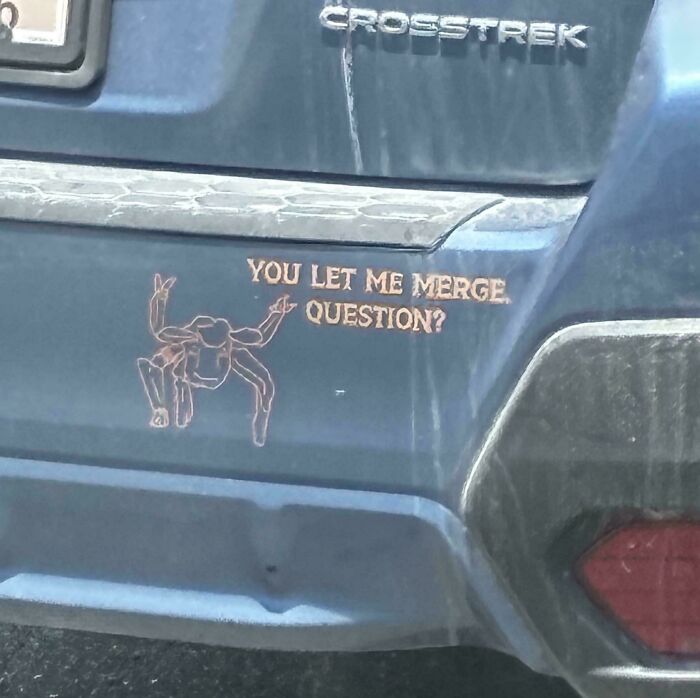 Wild bumper sticker on a blue car featuring a spider and the text YOU LET ME MERGE. QUESTION?