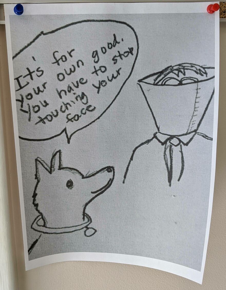 A drawing of a dog telling a person in a cone, Its for your own good. Stop touching your face, amusing.