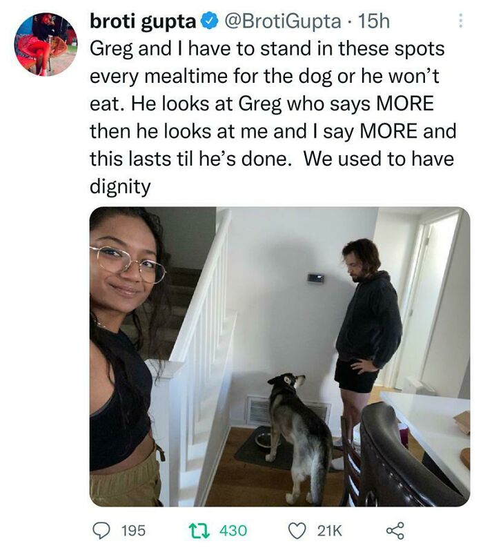 Get A Dog They Said. It'll Be Fun!