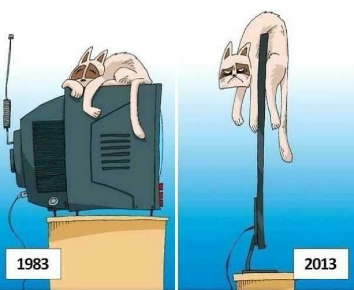 Nostalgic meme comparing cats on 1983 CRT TVs and 2013 flat-screen TVs, highlighting an ancient meme that still cracks people up.