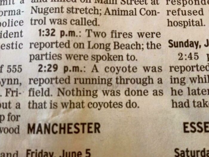Because That's What They Do!