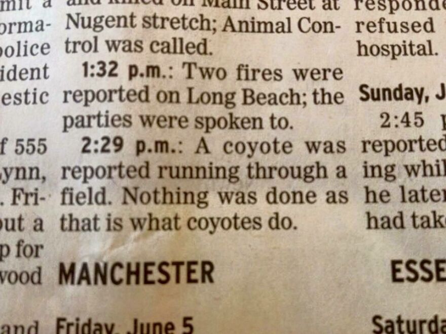 Newspaper clipping about a coyote, highlighting mildly amusing things that improve your day.