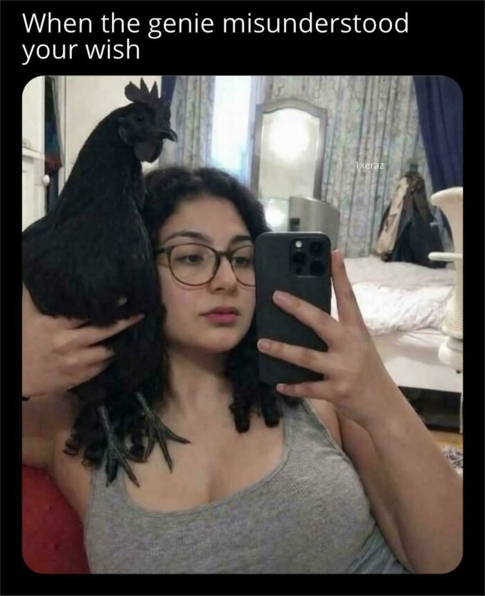 A young woman taking a selfie with a black chicken perched on her shoulder, illustrating the text, 'When the genie misunderstood your wish.' This is one of many ancient memes that still crack people up.