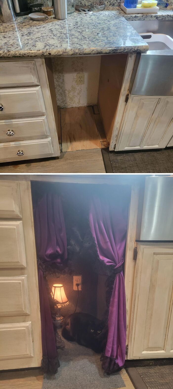 A before-and-after of a home improvement project: an empty kitchen cabinet space transformed into a cozy cat hideaway with purple curtains.