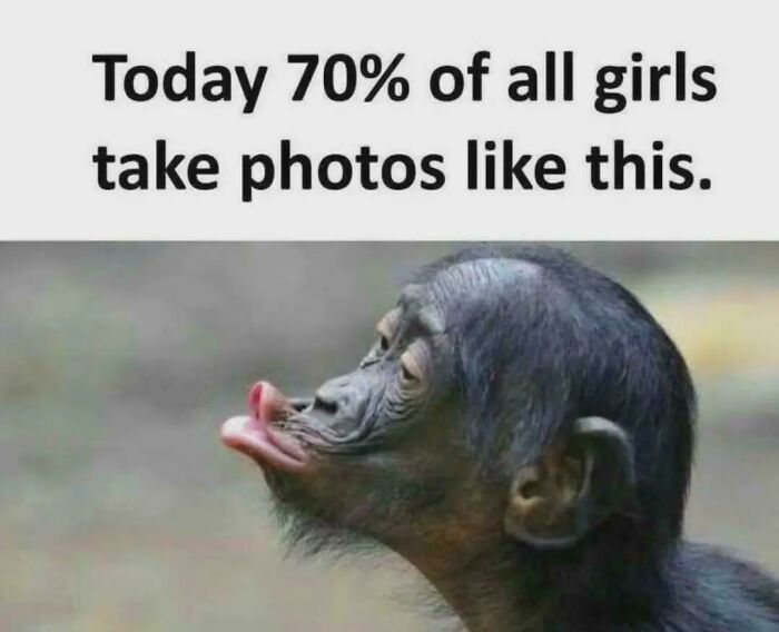 A baby monkey making a duck face, a funny image that's an ancient meme.