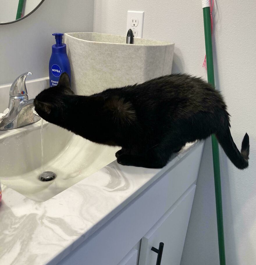 A cute, derpy pet black cat drinking from a bathroom faucet, appearing to be assembled wrong.