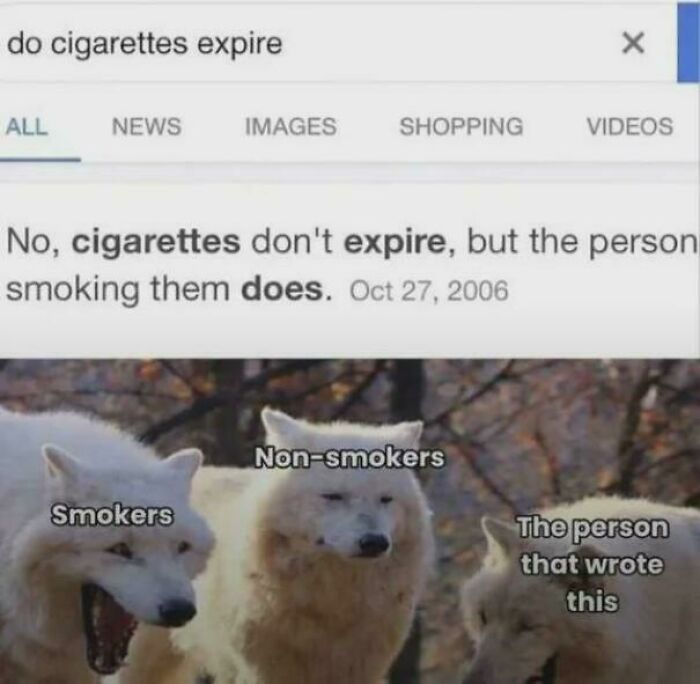 A meme showing a Google search result for 'do cigarettes expire' with wolves representing smokers, non-smokers, and the person who wrote the funny answer. This is an ancient meme.