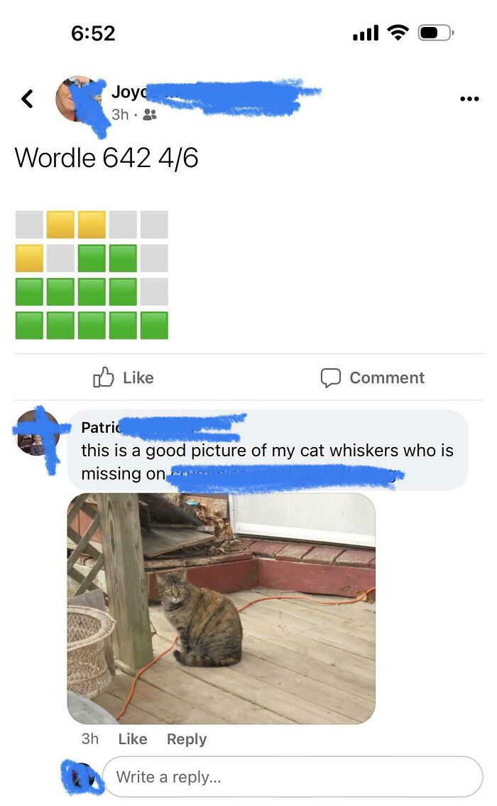 Elderly people's hilarious internet access moments: a Wordle post followed by an unrelated cat photo.