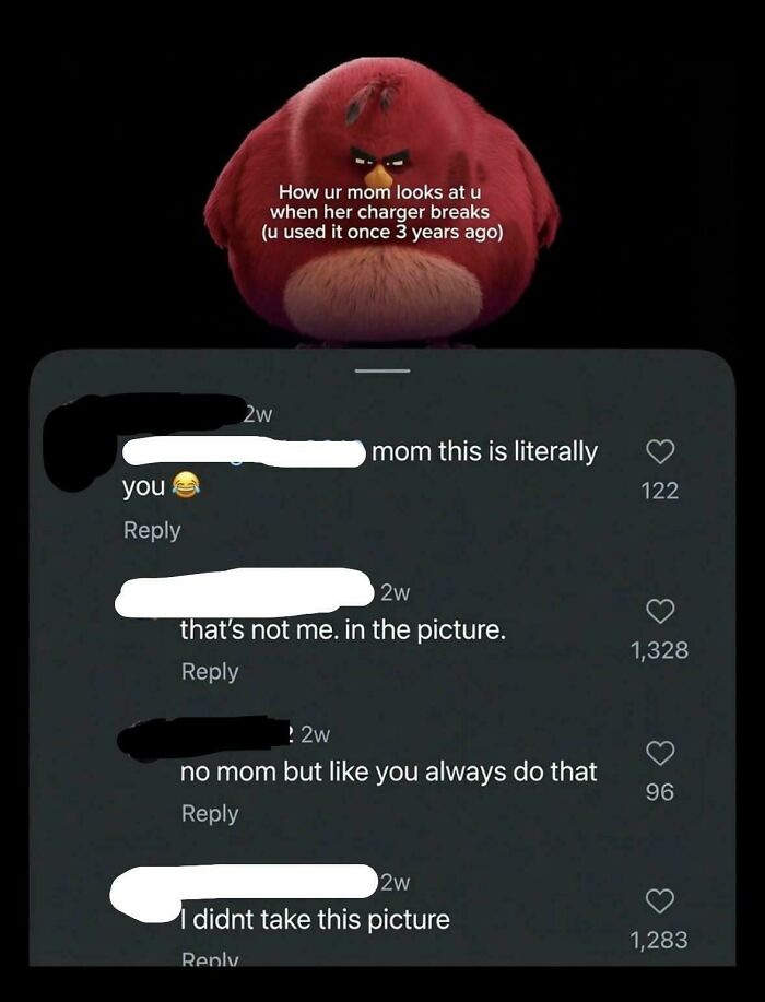 A meme with Angry Birds character and funny comments about elderly people and unsupervised internet access.