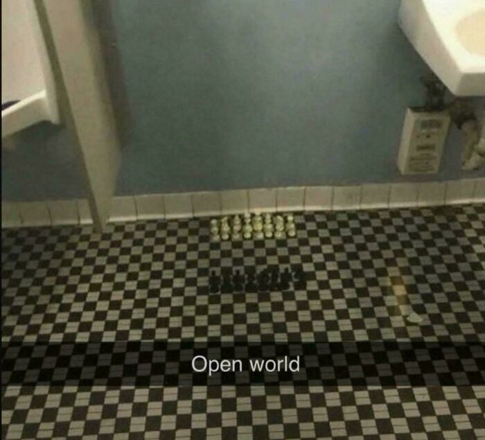 Thanks, I Hate Bathroom Chess
