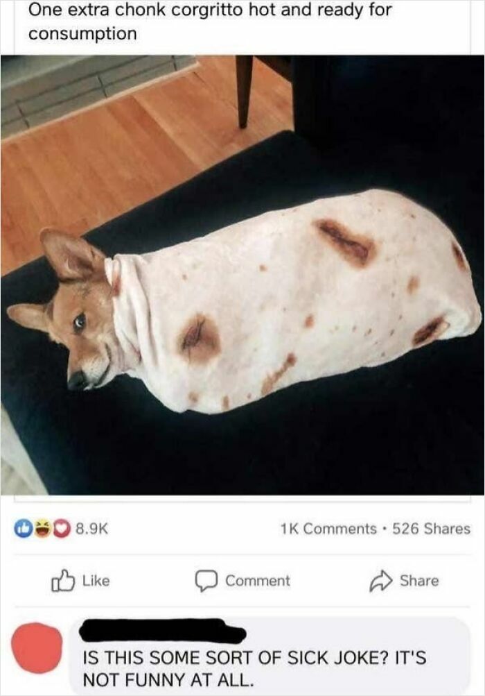 Elderly people online: A humorous image of a dog wrapped in a tortilla, with a comment from an elderly person.