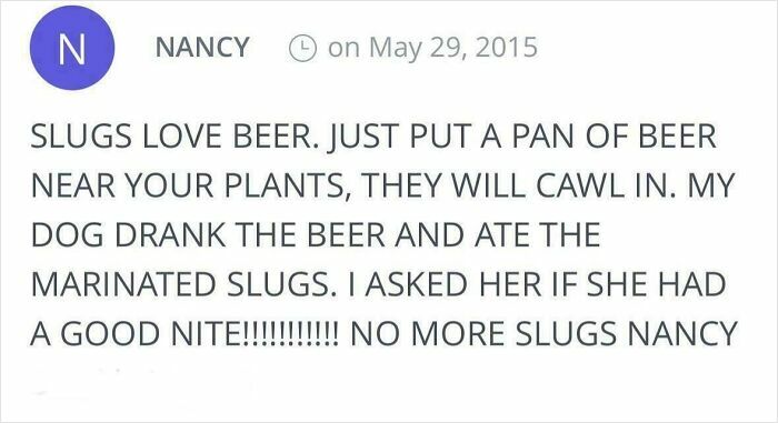 Elderly people sharing a funny story about slugs and beer online, showcasing their hilarious unsupervised internet use.